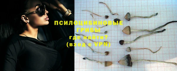 дмт Киреевск