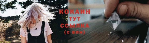 дмт Киреевск