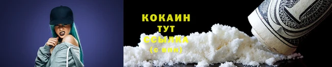 дмт Киреевск