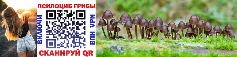 Галлюциногенные грибы Psilocybine cubensis  Купить закладки  Верхний Уфалей 